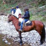 Az. Agr. Cassina Piatta